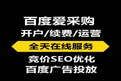 百度推广攻略：实操案例解读SEO优化之道